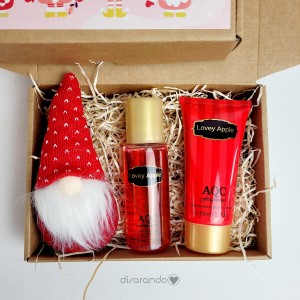 Kit Gnomo Navidad