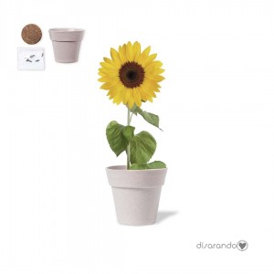 Maceta Girasol Eventos