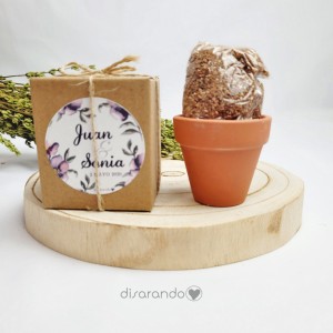 Maceta Petunia Eventos