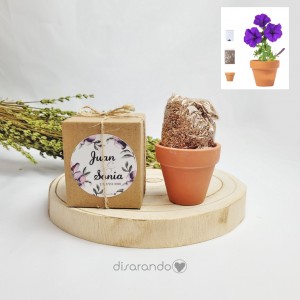 Maceta Petunia Eventos
