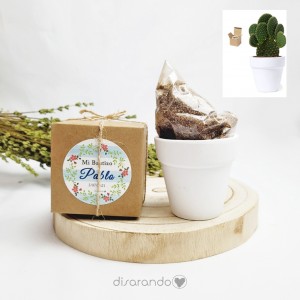 Maceta Cactus Eventos