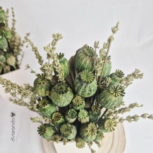 Centro Flor Preservada Verde (varios diseños)