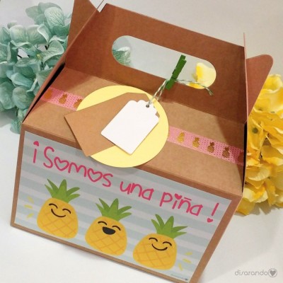 Caja Somos una piña
