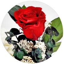 FLORES